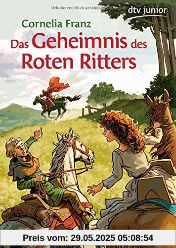 Das Geheimnis des Roten Ritters: Ein Abenteuer aus dem Mittelalter (dtv junior)