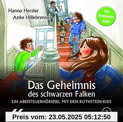 Das Geheimnis des schwarzen Falken: Ein Abenteuerhörpsiel mit den Rothstein-Kids