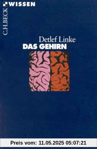 Das Gehirn