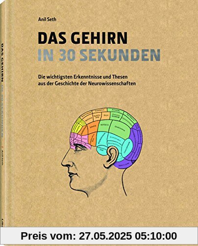 Das Gehirn in 30 Sekunden: Die erstaunlichsten Theorien der Neurowissenschaften in 30 Sekunden