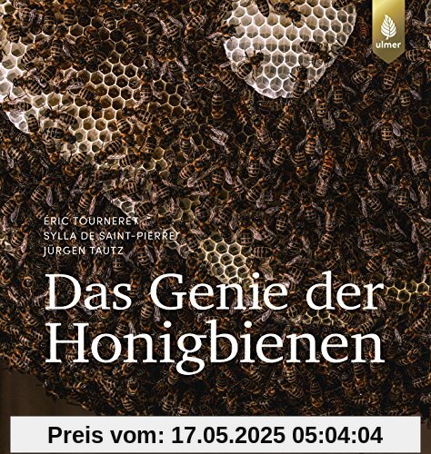 Das Genie der Honigbienen
