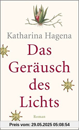 Das Geräusch des Lichts: Roman