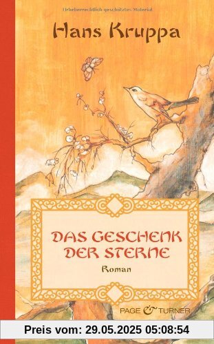 Das Geschenk der Sterne: Roman Das Geschenk der Sterne: Roman