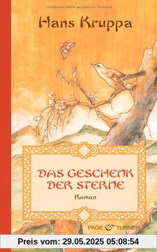 Das Geschenk der Sterne: Roman