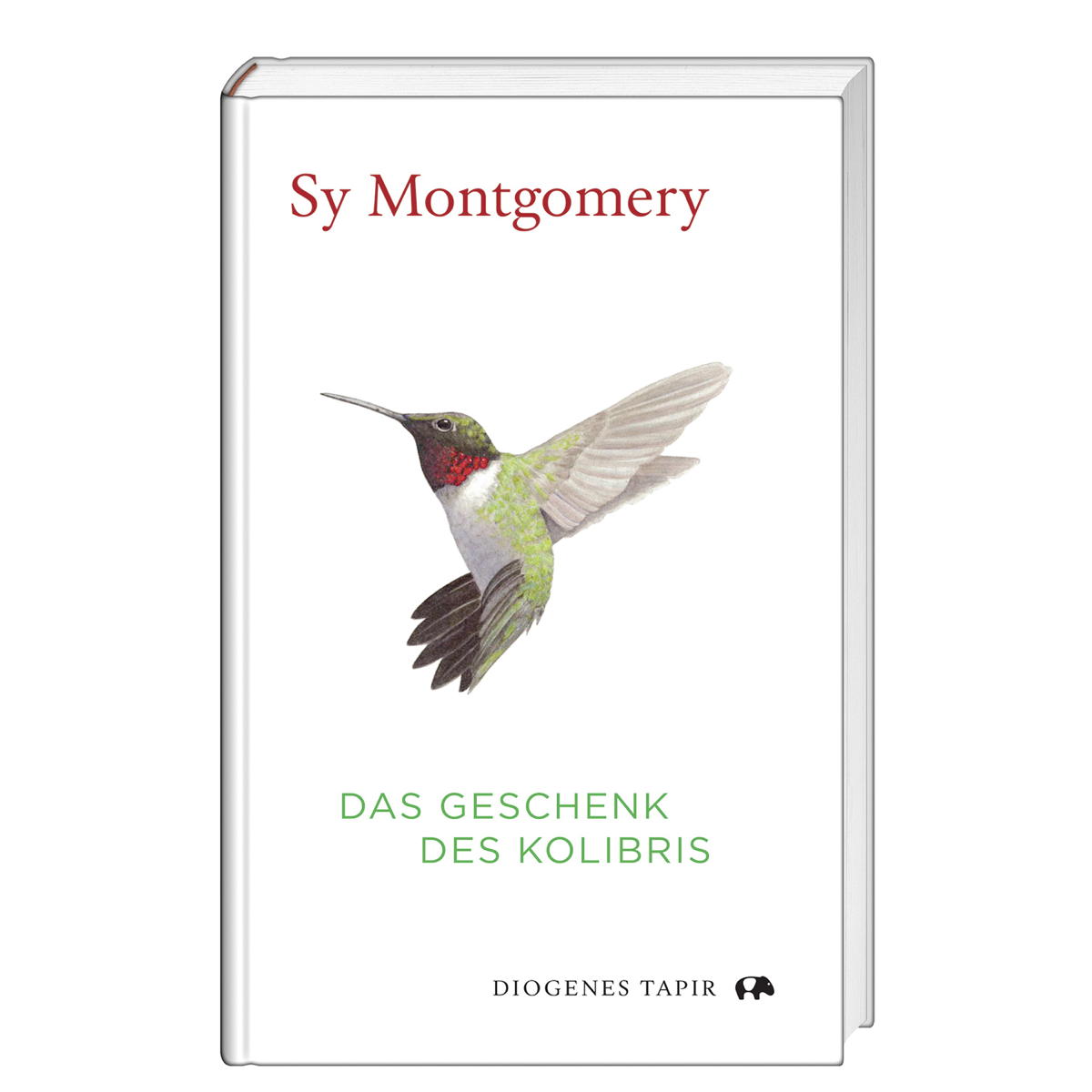 Das Geschenk des Kolibris von Diogenes Verlag AG
