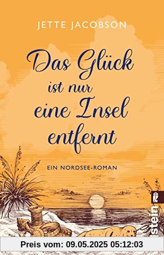 Das Glück ist nur eine Insel entfernt: Ein Nordsee-Roman | Wind, Wellen und Liebe auf Amrum – ein Urlaubsroman fürs Herz