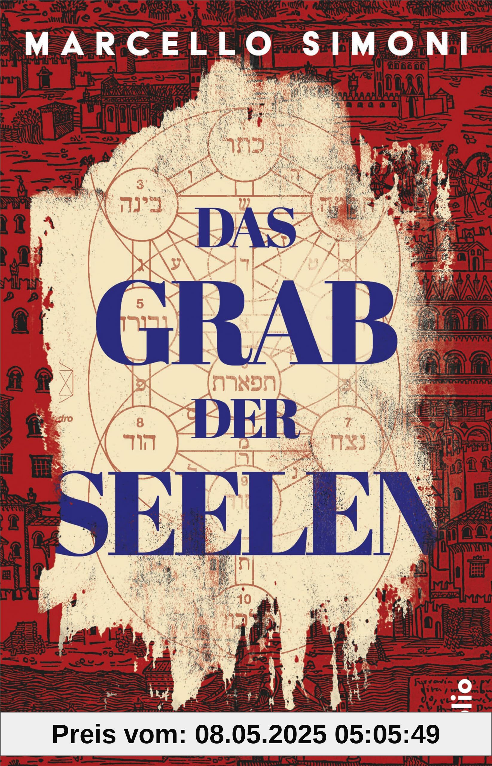 Das Grab der Seelen: Historischer Thriller