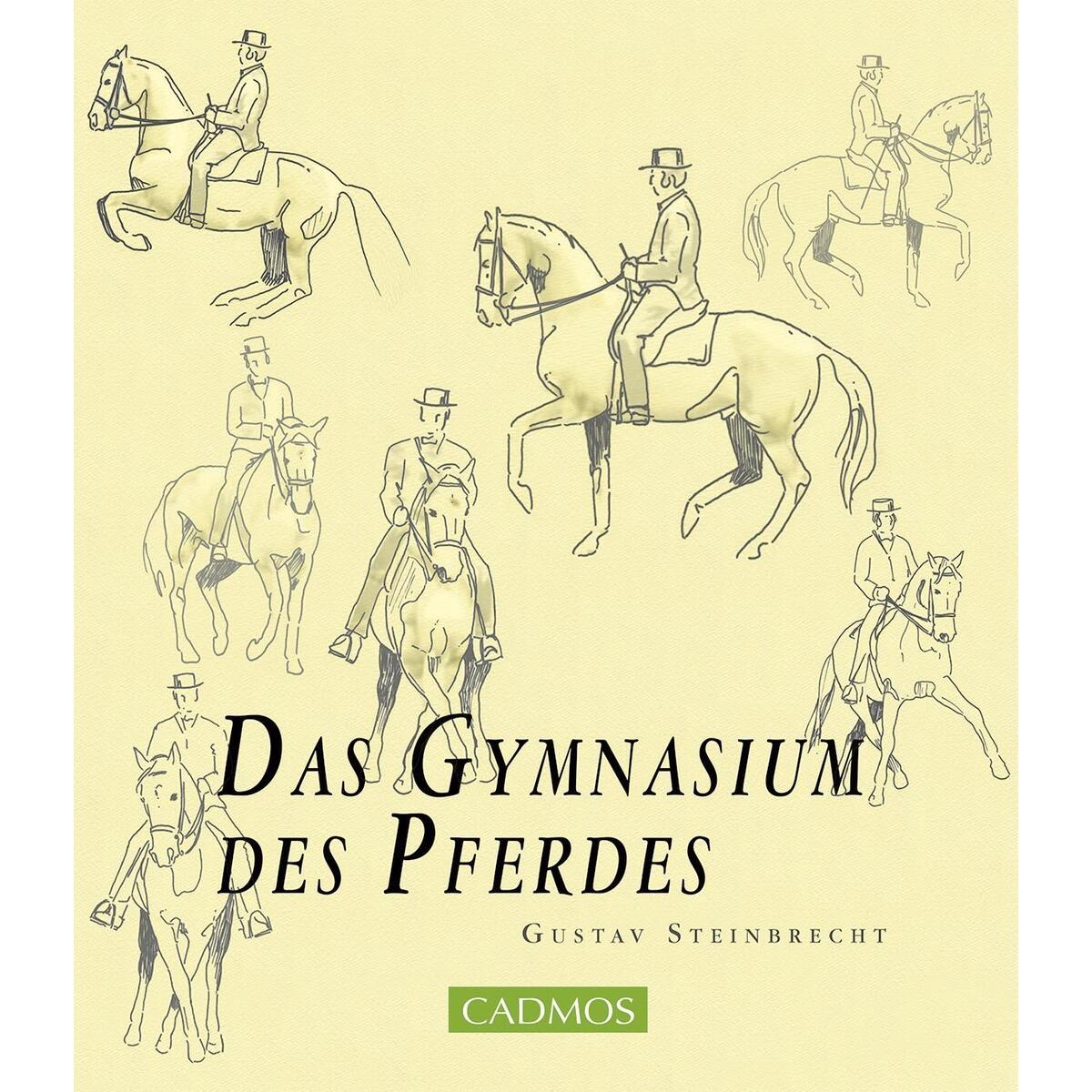 Das Gymnasium des Pferdes von Cadmos Verlag GmbH