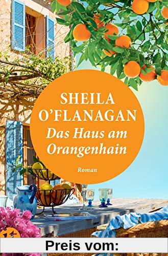 Das Haus am Orangenhain: Roman (insel taschenbuch)