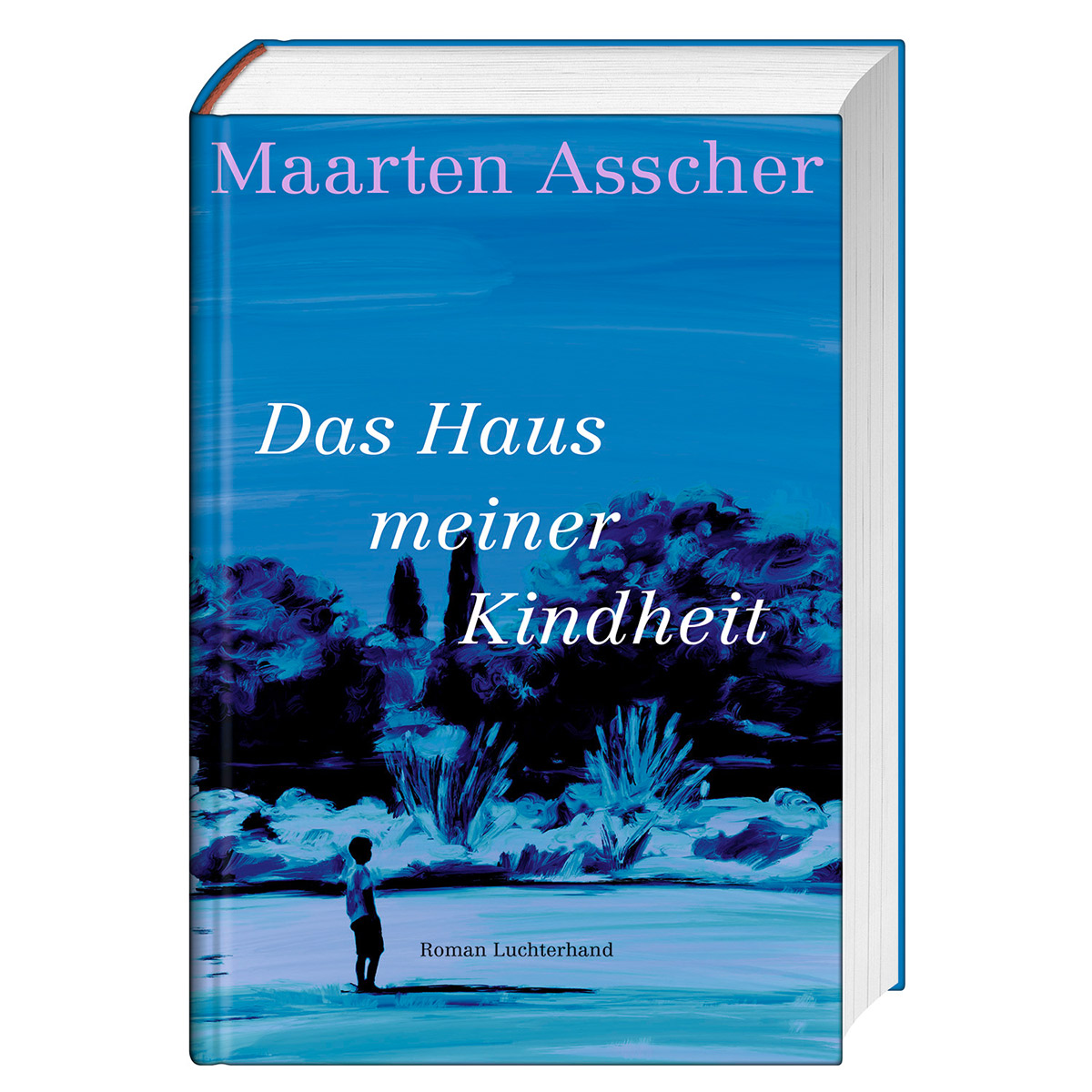 Das Haus meiner Kindheit von Luchterhand Literaturvlg.