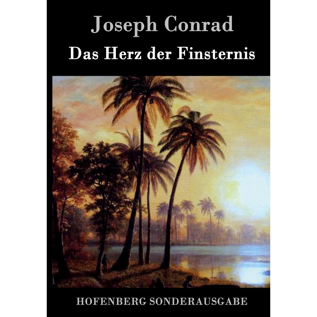 Das Herz der Finsternis Das Herz der Finsternis von Hofenberg