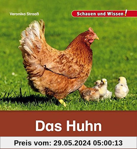 Das Huhn: Schauen und Wissen!