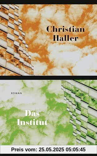 Das Institut: Roman