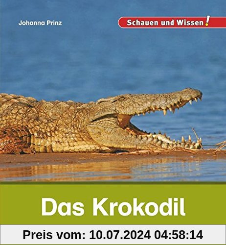 Das Krokodil: Schauen und Wissen!