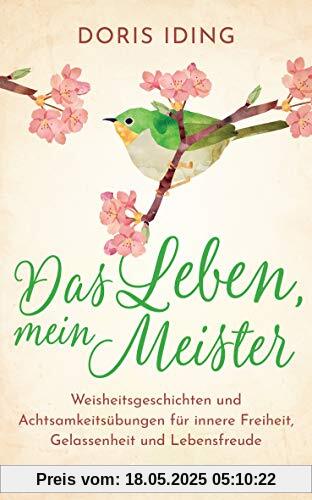 Das Leben, mein Meister: Weisheitsgeschichten und Achtsamkeitsübungen für innere Freiheit, Gelassenheit und Lebensfreude