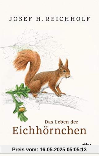 Das Leben der Eichhörnchen