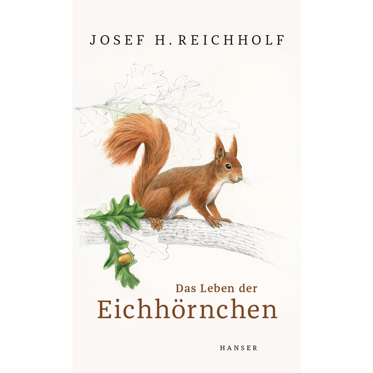 Das Leben der Eichhörnchen von Carl Hanser Verlag