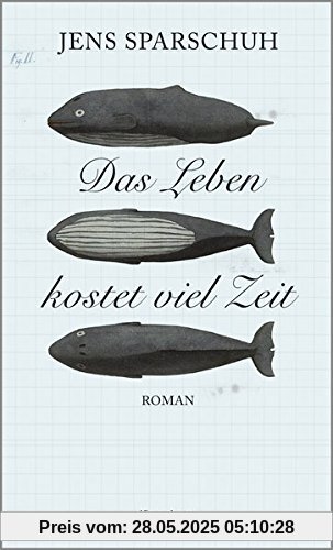 Das Leben kostet viel Zeit: Roman
