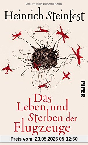 Das Leben und Sterben der Flugzeuge: Roman