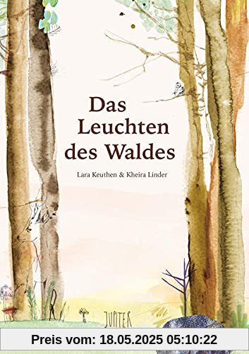 Das Leuchten des Waldes