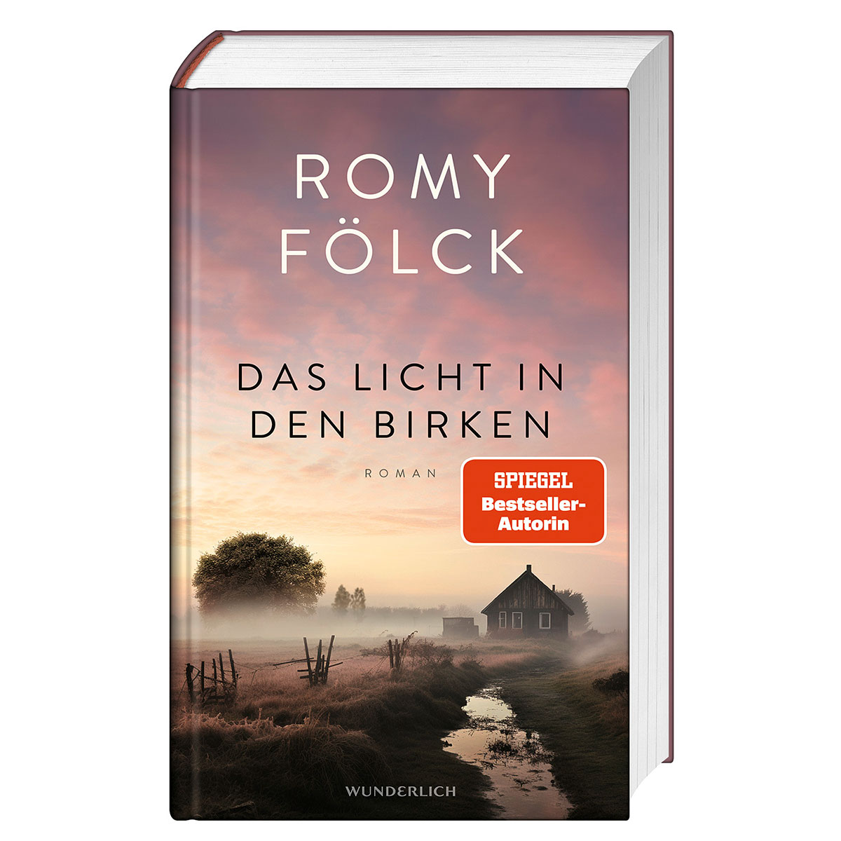 Das Licht in den Birken Das Licht in den Birken von Wunderlich Verlag