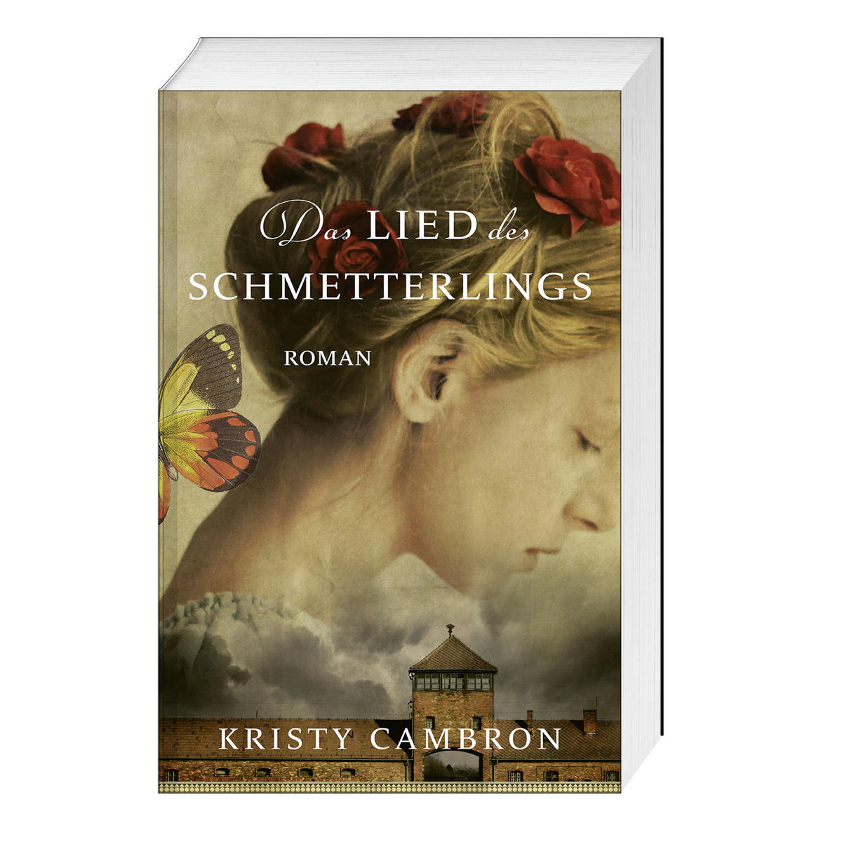 Das Lied des Schmetterlings von Gerth Medien