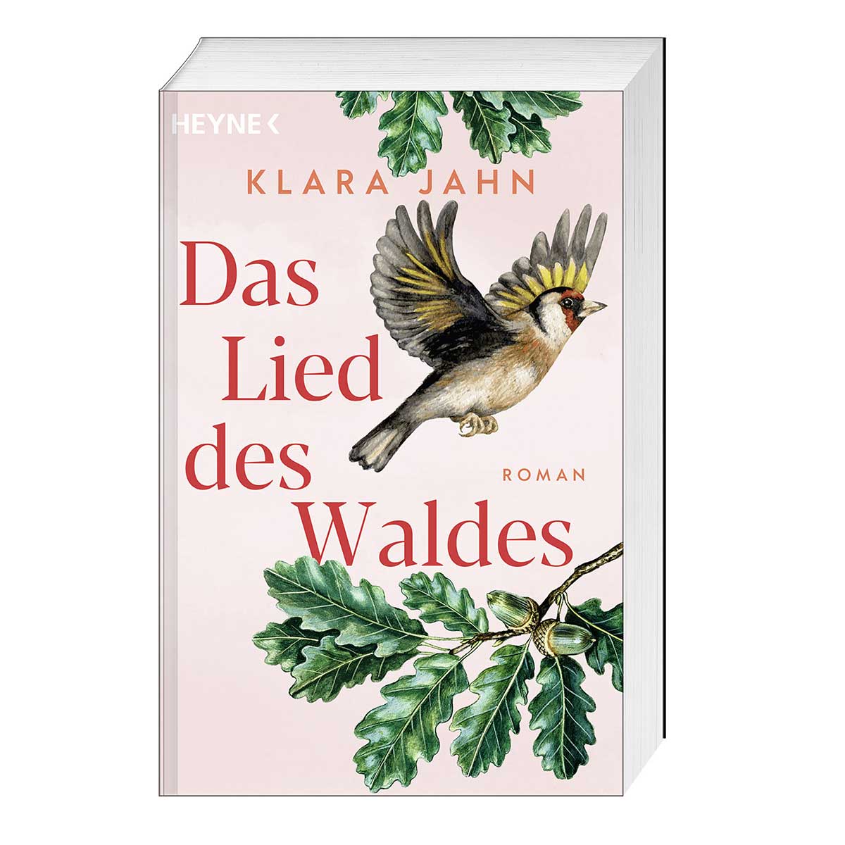 Das Lied des Waldes von Heyne Taschenbuch