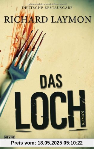 Das Loch: Roman