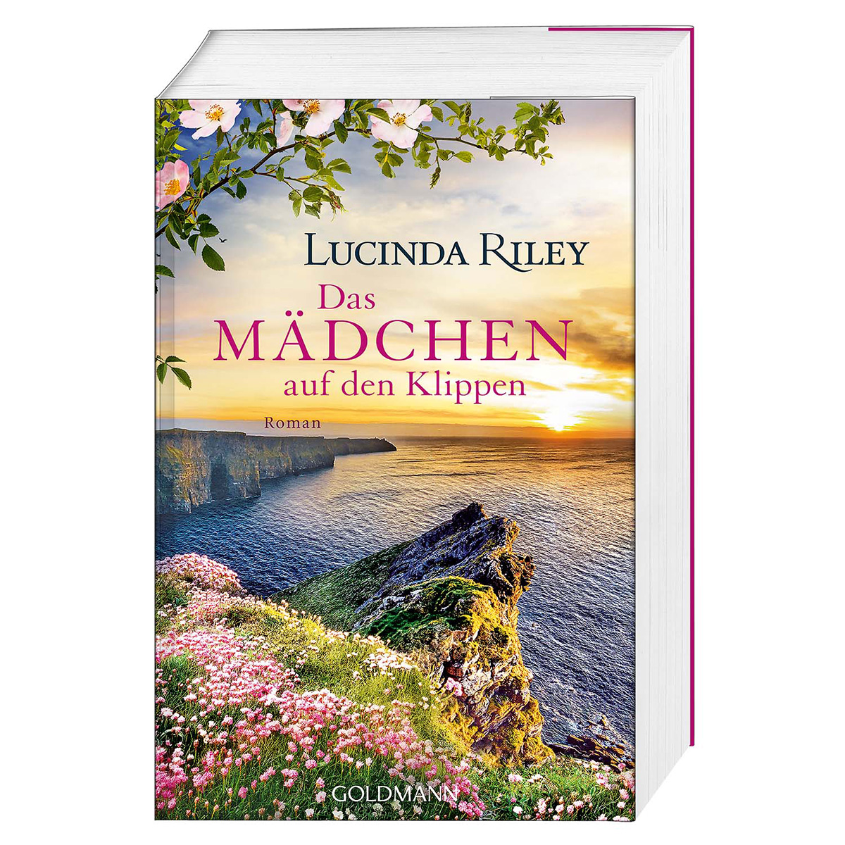 Das Mädchen auf den Klippen von Goldmann TB