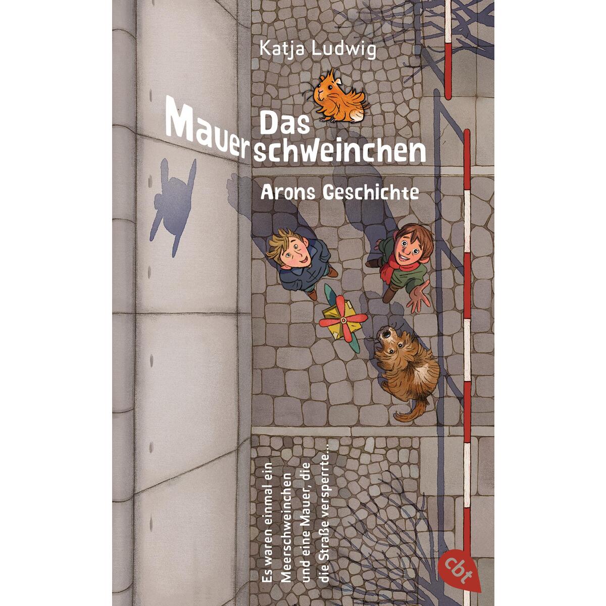Das Mauerschweinchen von cbt