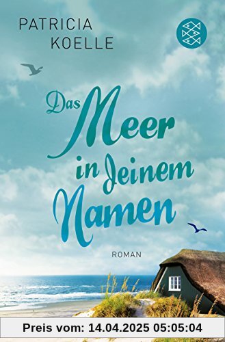 Das Meer in deinem Namen: Roman