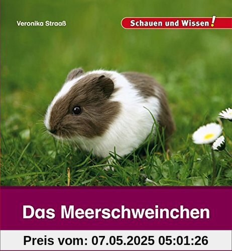 Das Meerschweinchen: Schauen und Wissen!