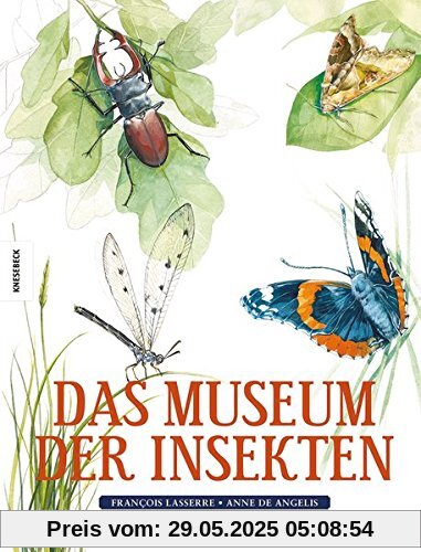 Das Museum der Insekten