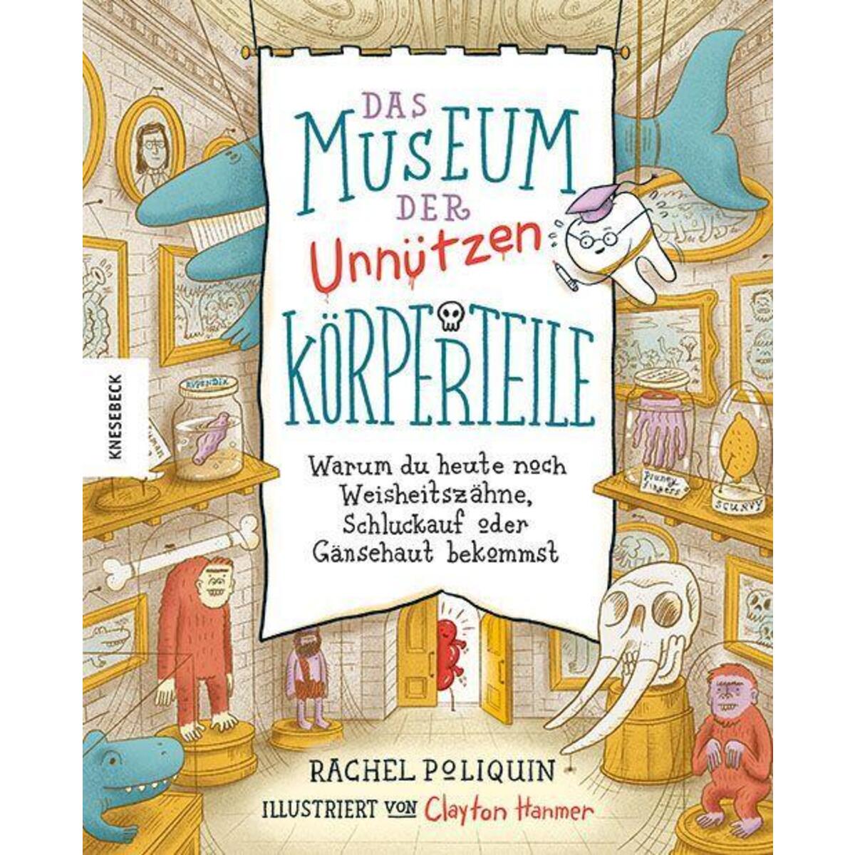 Das Museum der unnützen Körperteile Das Museum der unnützen Körperteile von Knesebeck Von Dem GmbH