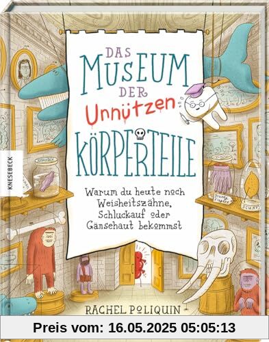 Das Museum der unnützen Körperteile: Warum du heute noch Weisheitszähne, Schluckauf oder Gänsehaut bekommst