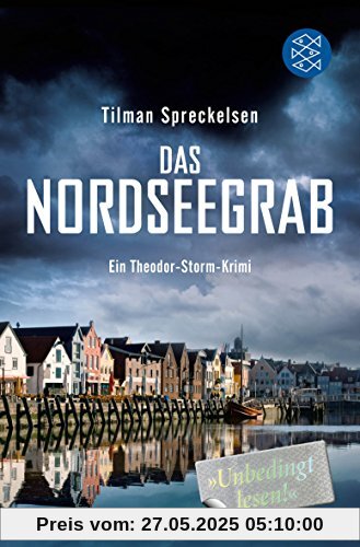 Das Nordseegrab: Ein Theodor-Storm-Krimi