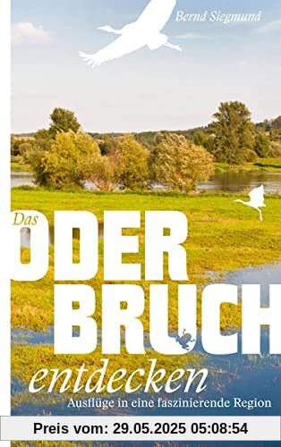 Das Oderbruch entdecken: Ausflüge in eine faszinierende Region