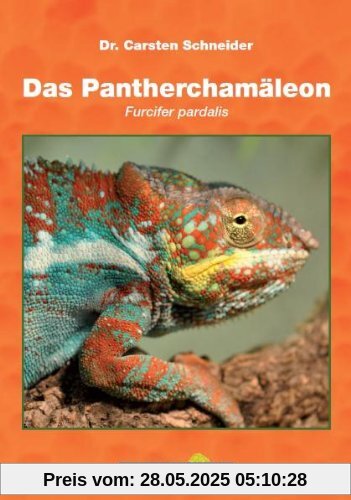 Das Pantherchamäleon: Furcifer pardalis