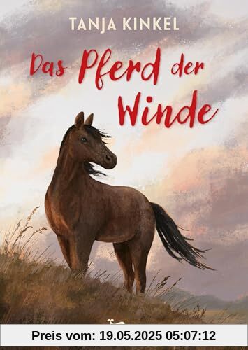 Das Pferd der Winde: Kinderroman ab 10 Jahren über ein besonderes Abenteuer in Asien Das Pferd der Winde: Kinderroman ab 10 Jahren über ein besonderes Abenteuer in Asien