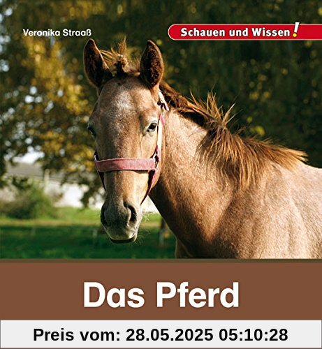 Das Pferd: Schauen und Wissen!
