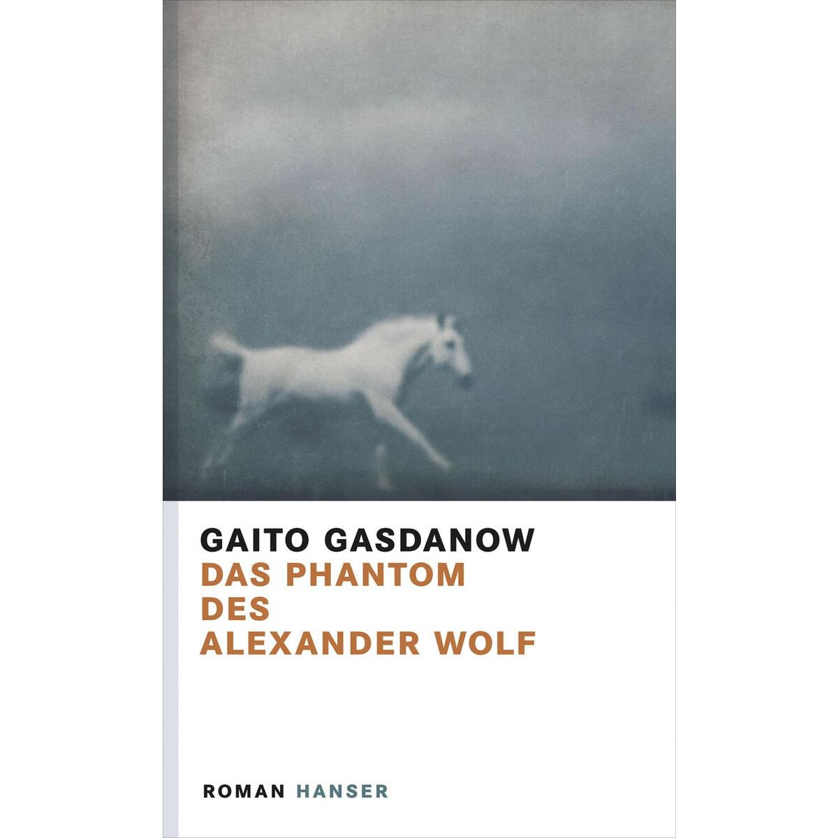 Das Phantom des Alexander Wolf von Carl Hanser Verlag