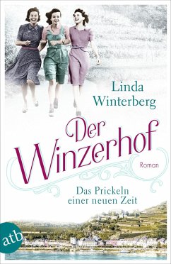 Das Prickeln einer neuen Zeit / Der Winzerhof Bd.1 von Aufbau TB