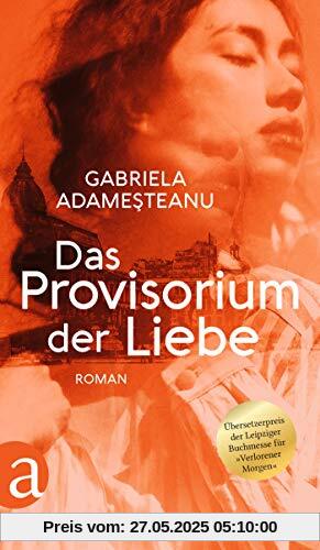 Das Provisorium der Liebe: Roman