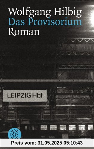 Das Provisorium: Roman