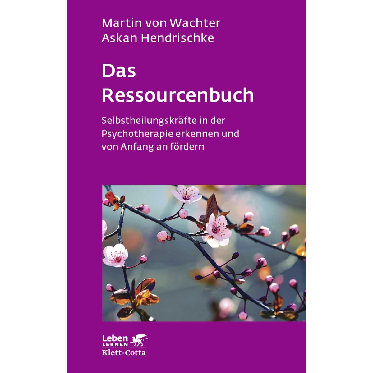 Das Ressourcenbuch Das Ressourcenbuch von Klett-Cotta Verlag