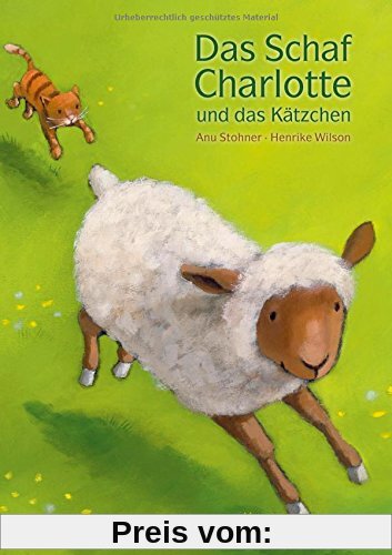 Das Schaf Charlotte und das Kätzchen
