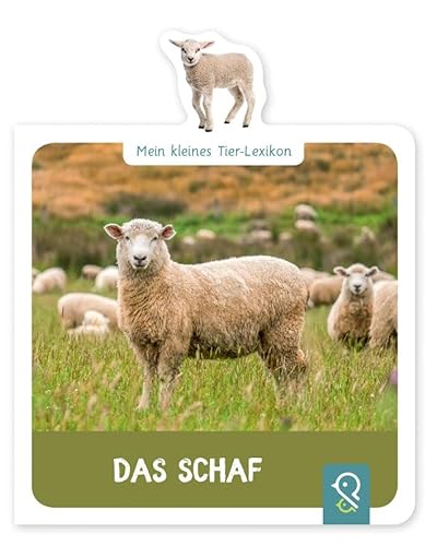 Das Schaf: Mein kleines Tier-Lexikon von klein & groß Verlag