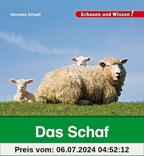 Das Schaf: Schauen und Wissen!