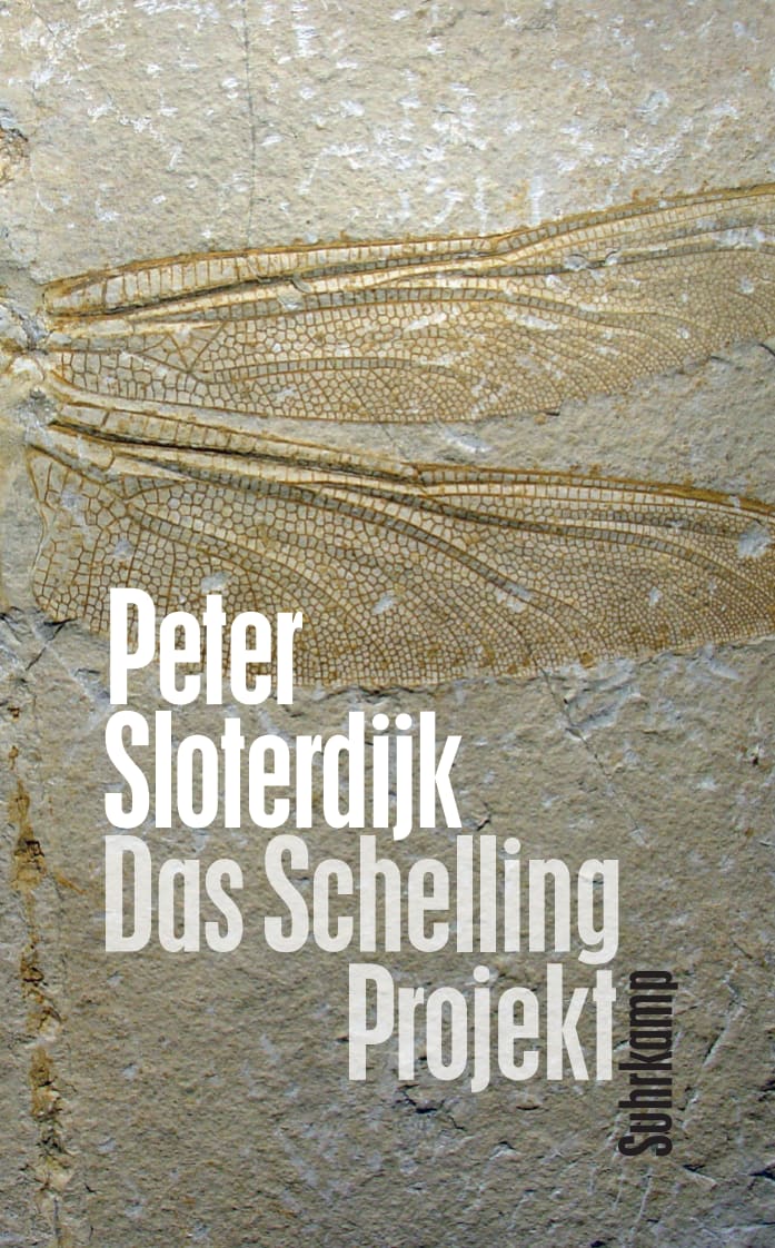 Das Schelling-Projekt Das Schelling-Projekt von Suhrkamp Verlag