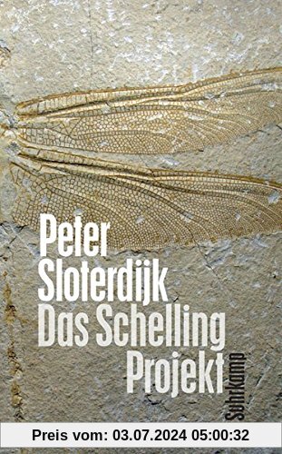 Das Schelling-Projekt: Bericht (suhrkamp taschenbuch)